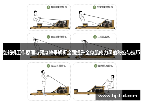 划船机工作原理与健身效果解析全面提升全身肌肉力量的秘密与技巧
