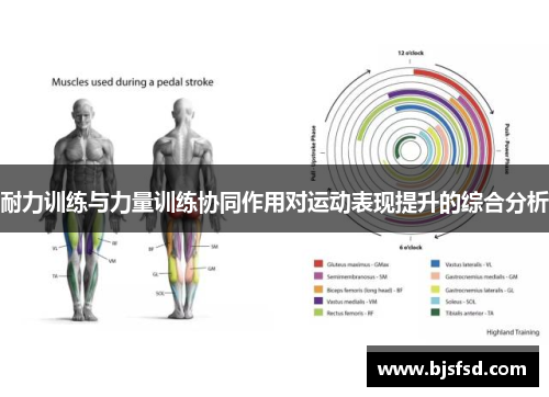 耐力训练与力量训练协同作用对运动表现提升的综合分析