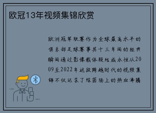 欧冠13年视频集锦欣赏
