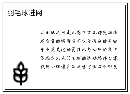 羽毛球进网