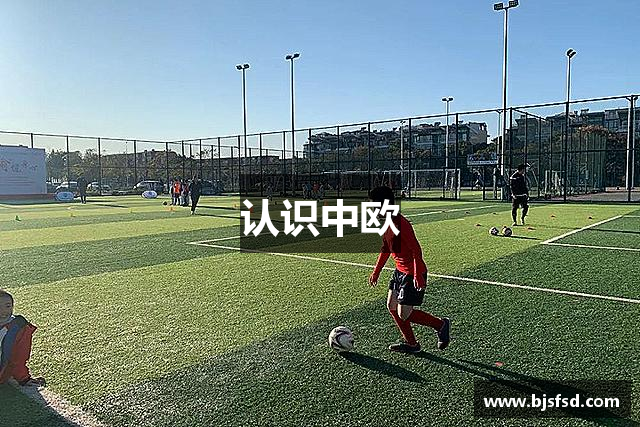认识中欧